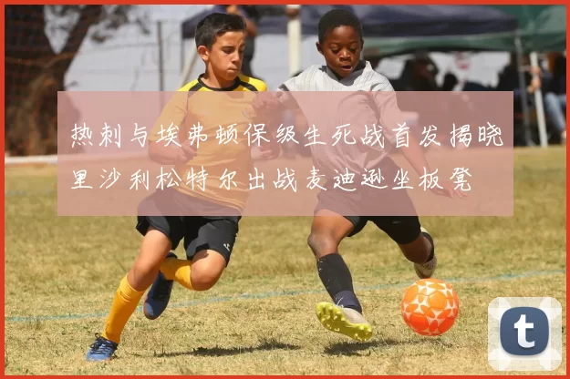 热刺与埃弗顿保级生死战首发揭晓里沙利松特尔出战麦迪逊坐板凳