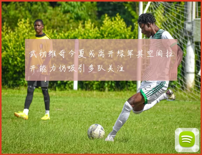 武切维奇今夏或离开绿军其空间拉开能力仍吸引多队关注